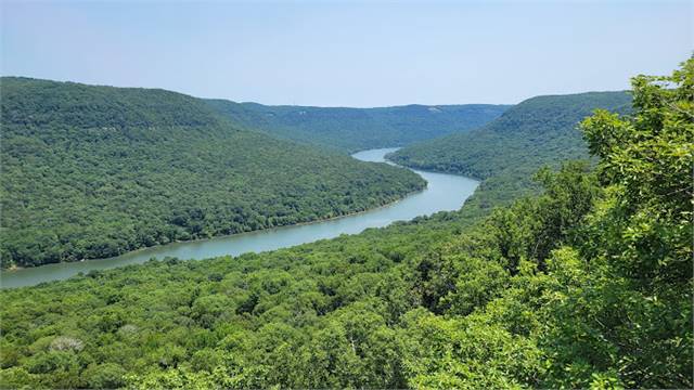 Prentice Cooper State Forest