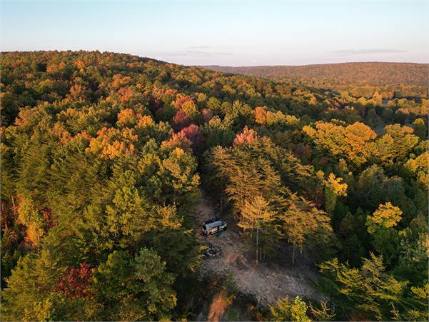 Tent Site at Camp Chet