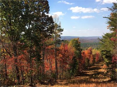 Camp Chet Campground