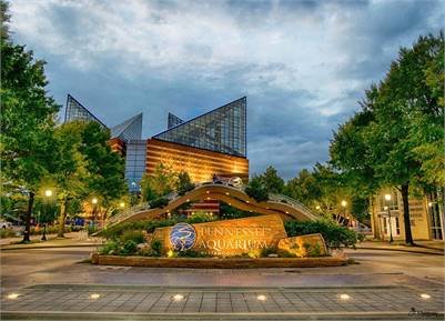 Tennessee Aquarium