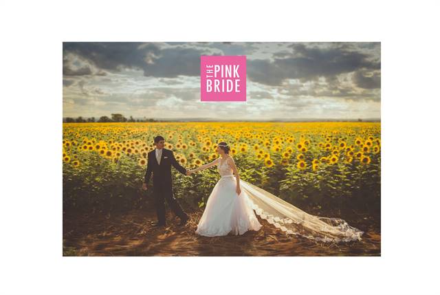 The Chattanooga Pink Bride Wedding and Women's Show